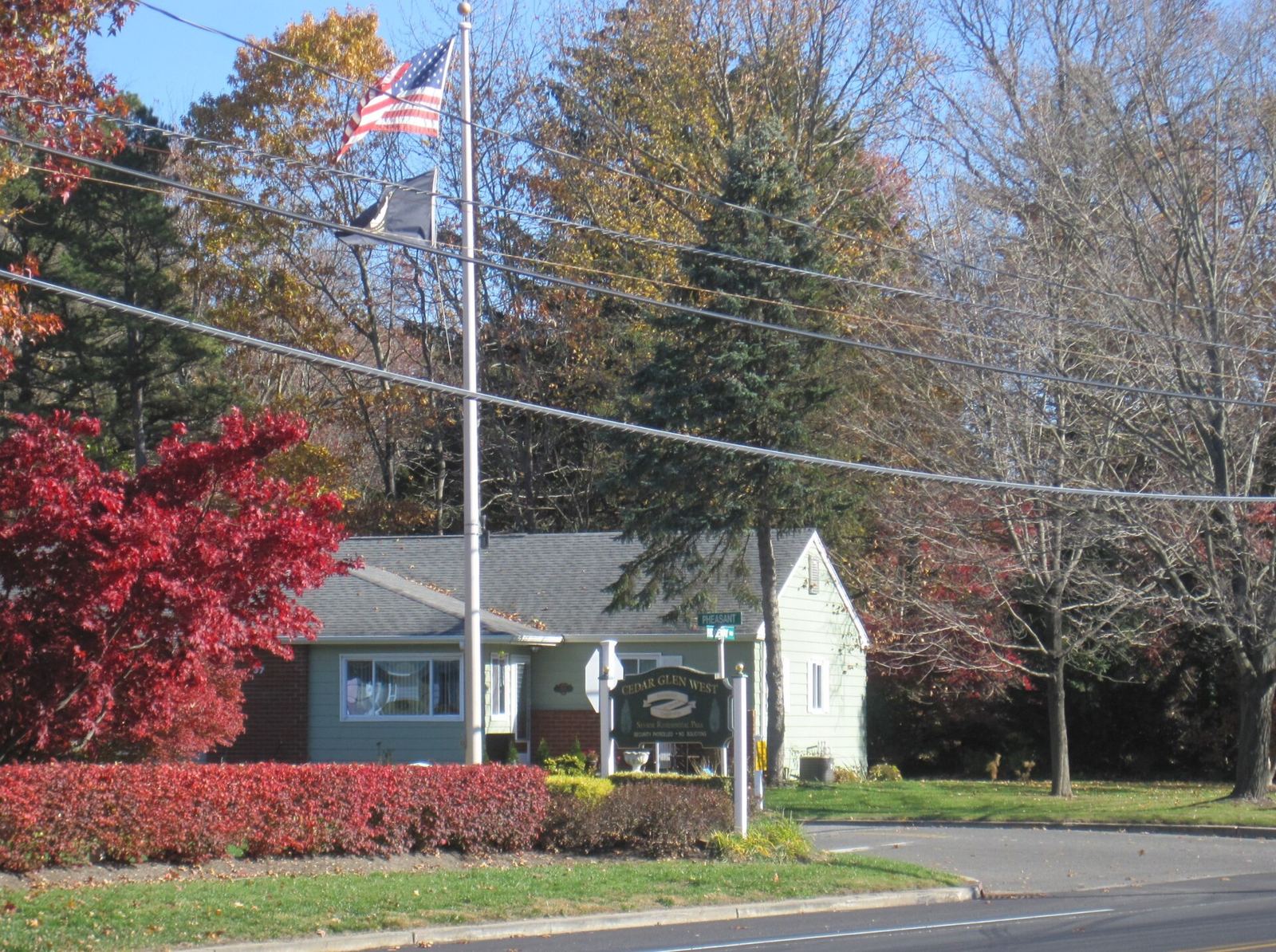 Quiet pine-woods residential character. Settling mood for a move