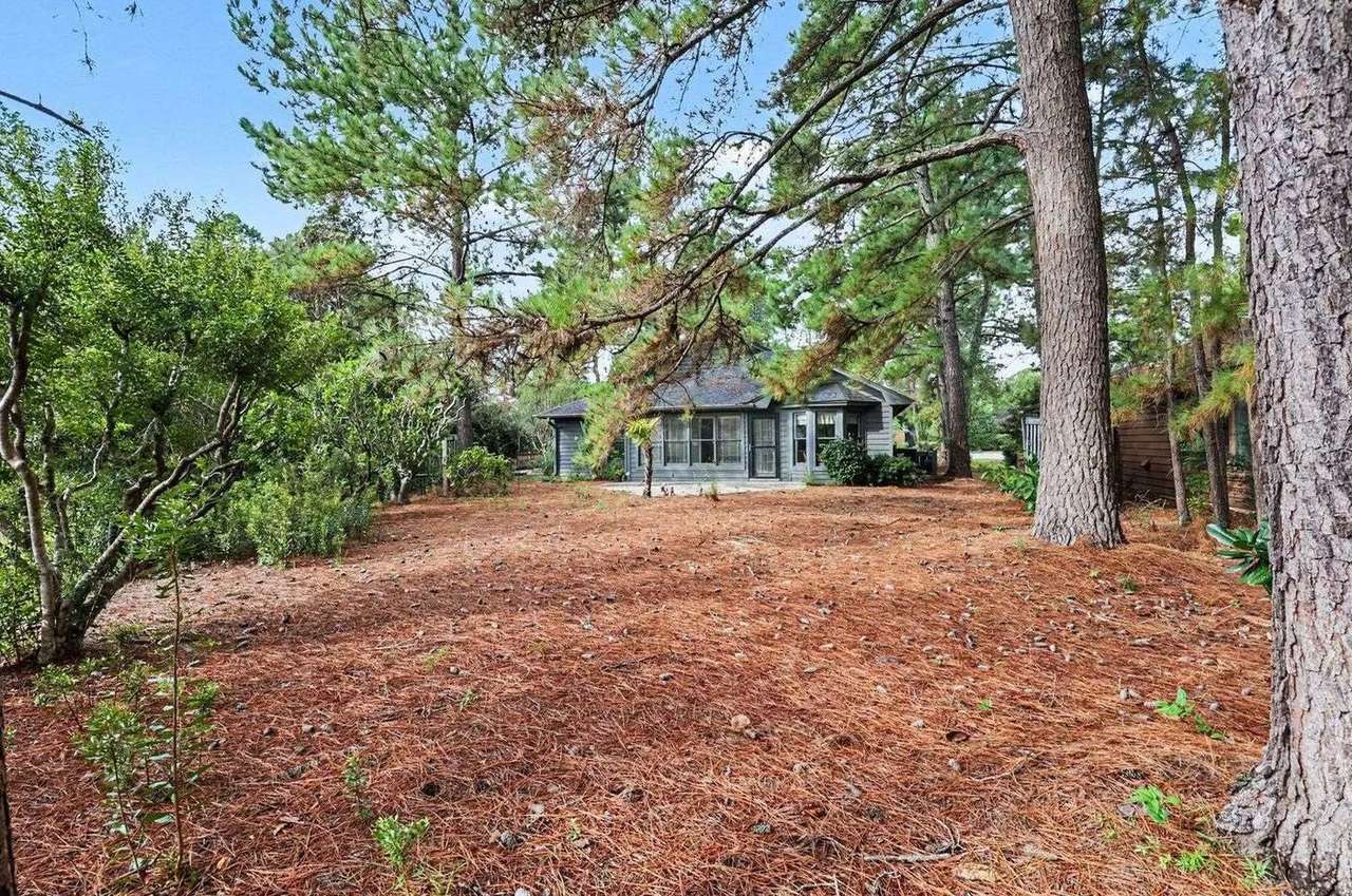101 Moss Circle, photo 29