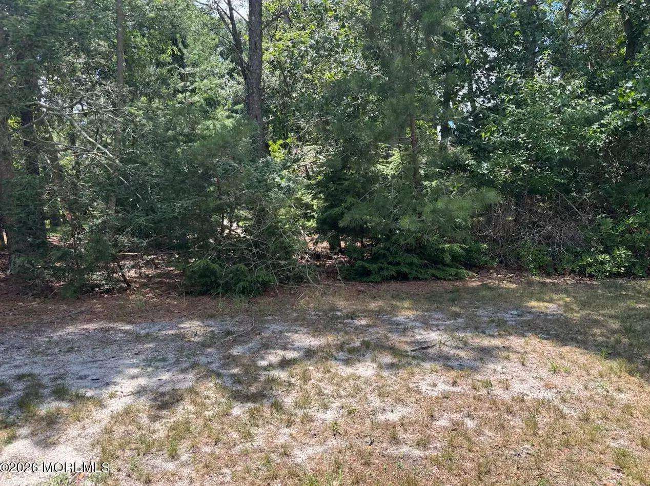 16 Milford Ave, photo 4
