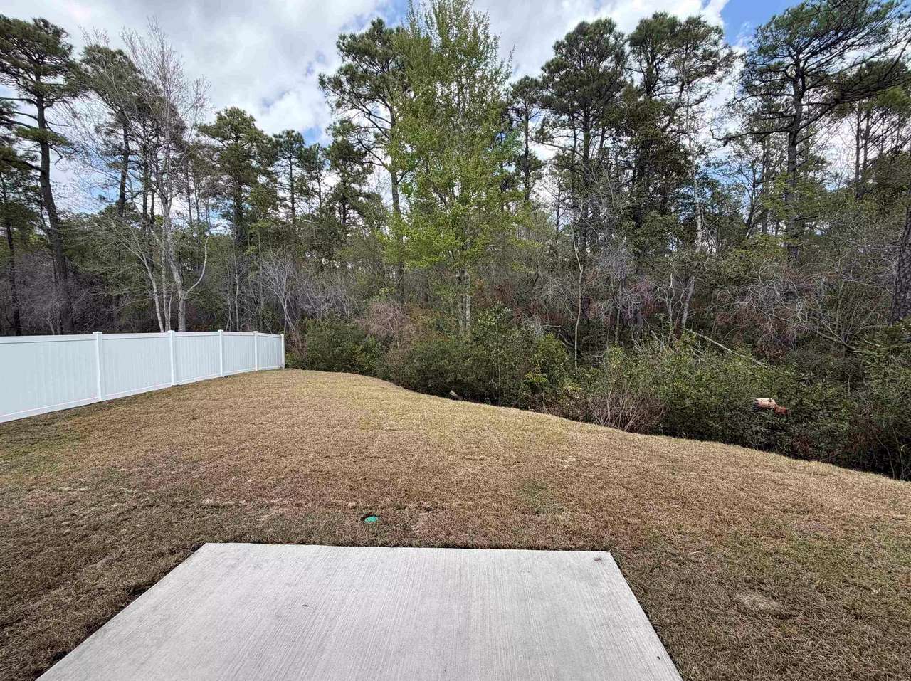 3238 Moss Bridge Ln, Myrtle Beach, photo 2