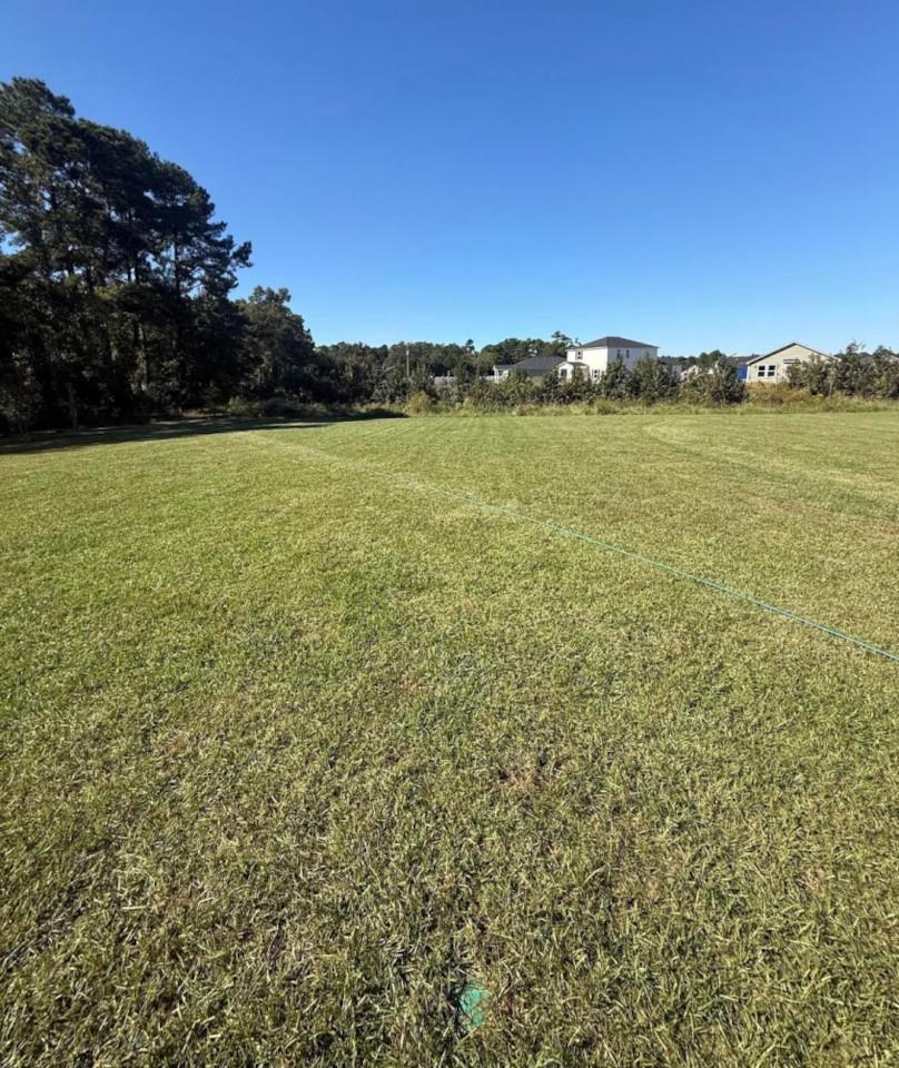474 Sweet Vernal St, Longs, photo 3